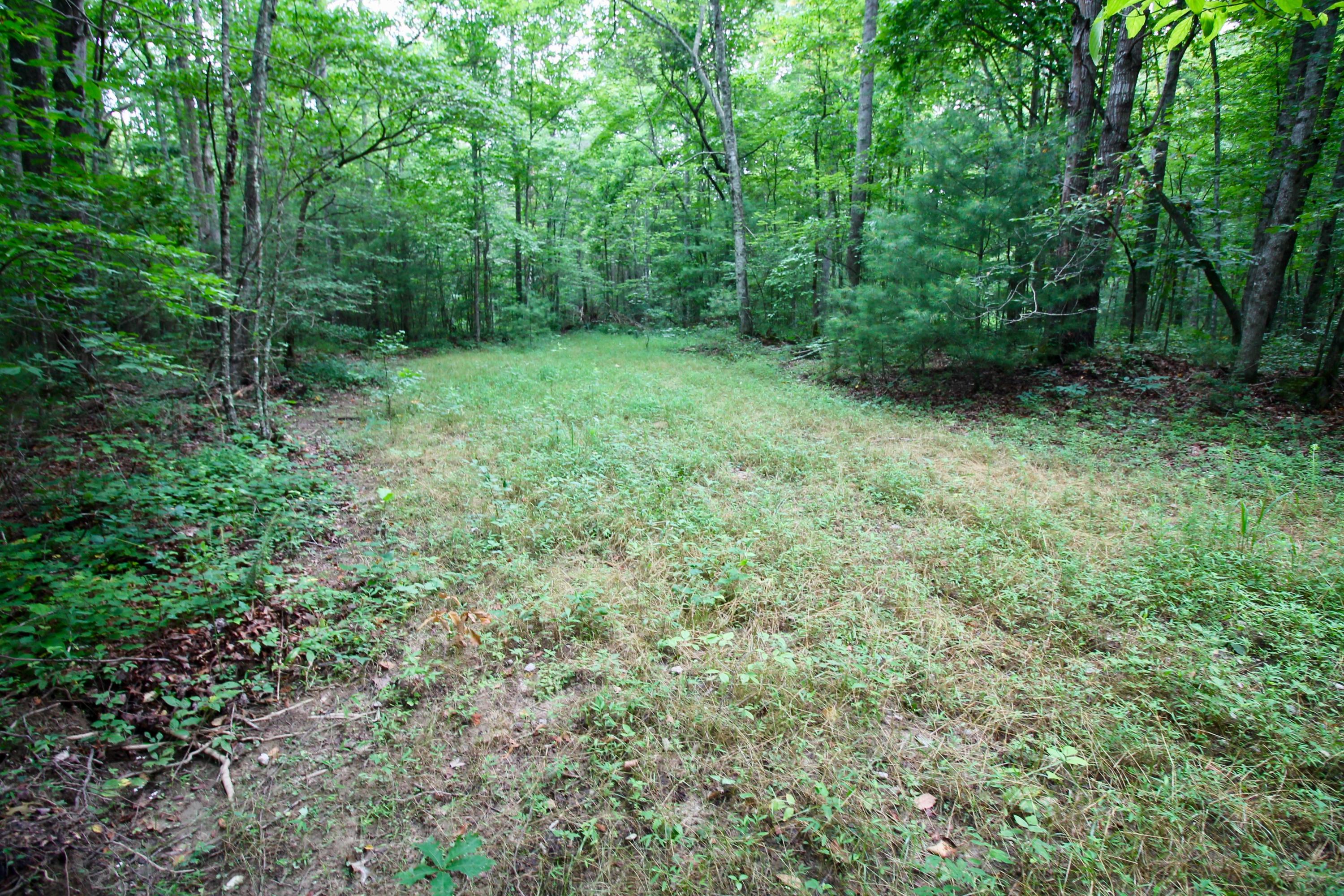 Huse Watson Road Oakdale, TN 37829 - Photo 21 of 40 18