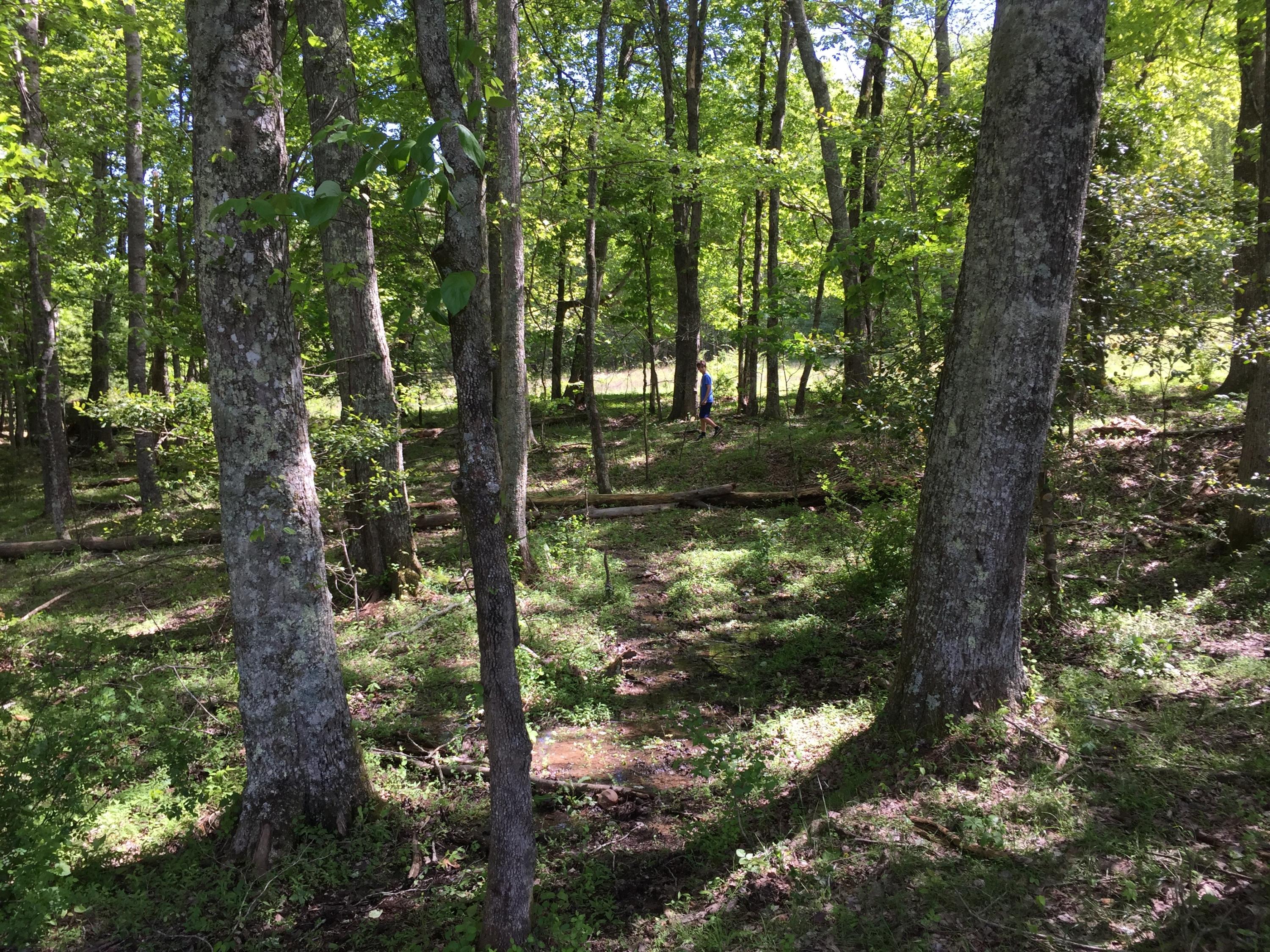 Huse Watson Road Oakdale, TN 37829 - Photo 26 of 40 IMG_4706