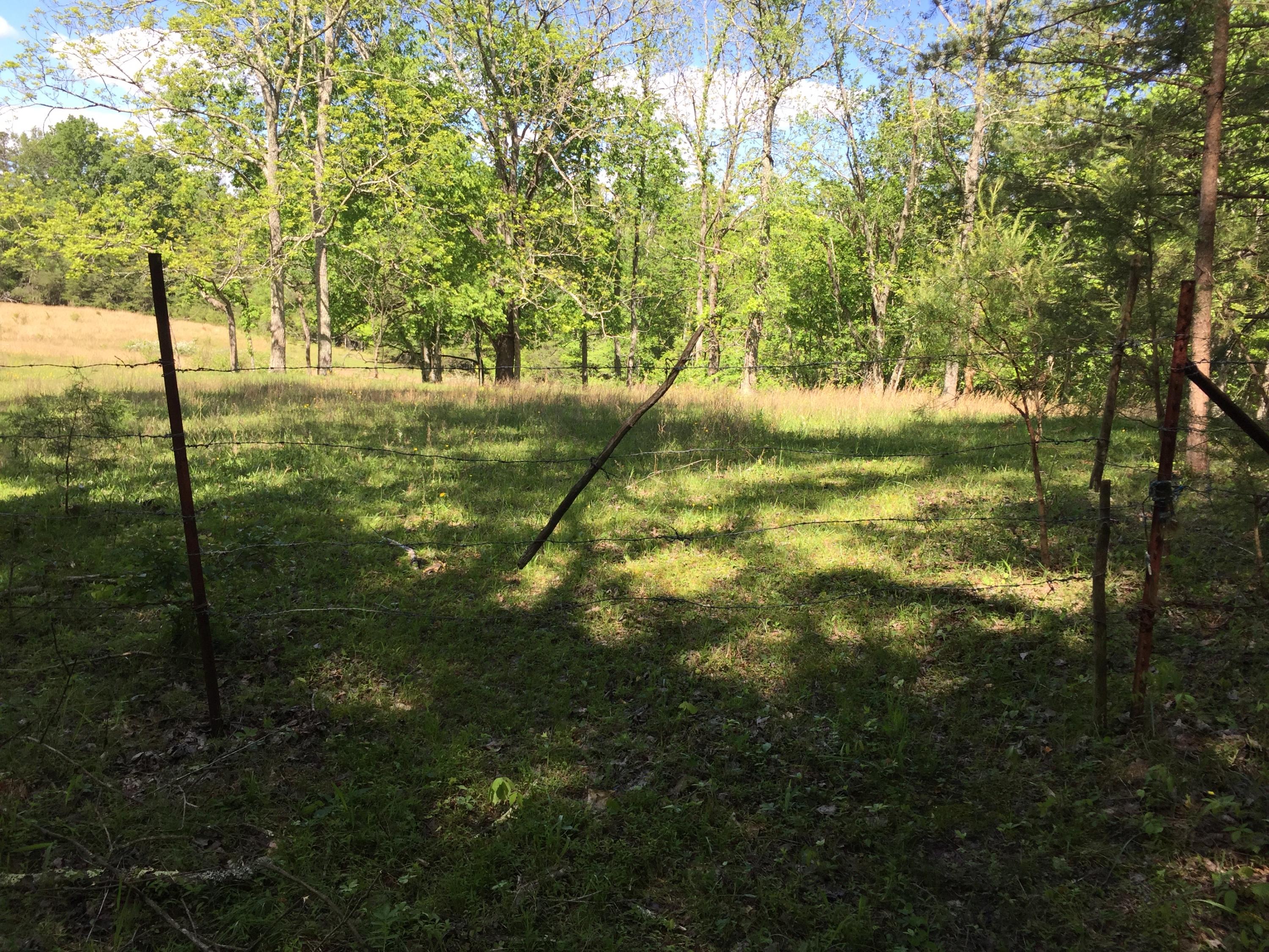 Huse Watson Road Oakdale, TN 37829 - Photo 29 of 40 IMG_4764