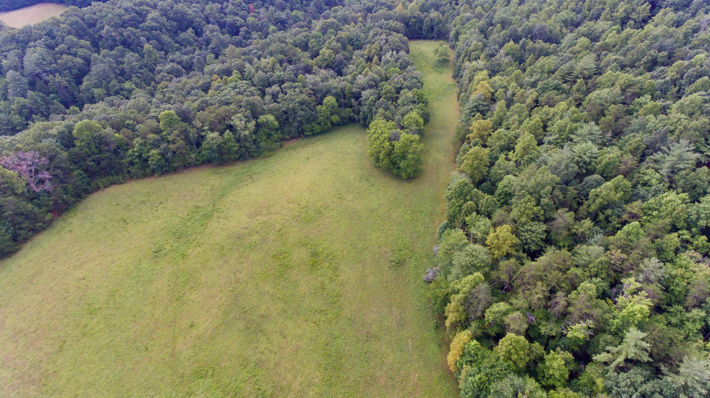 Huse Watson Road Oakdale, TN 37829 - Photo 4 of 40 4
