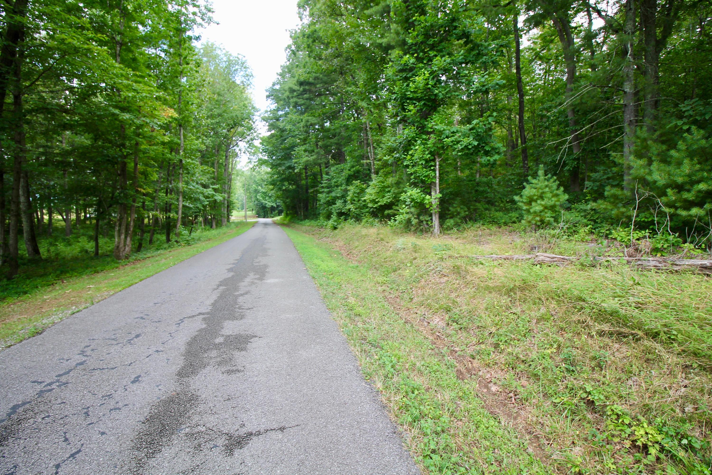 Huse Watson Road Oakdale, TN 37829 - Photo 31 of 40 IMG_8777