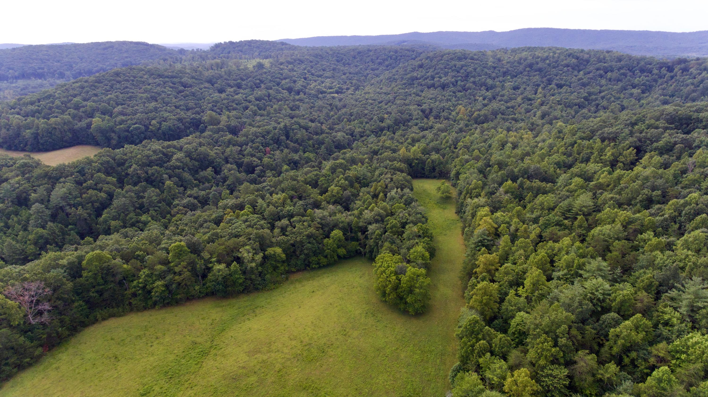 Huse Watson Road Oakdale, TN 37829 - Photo 5 of 40 5
