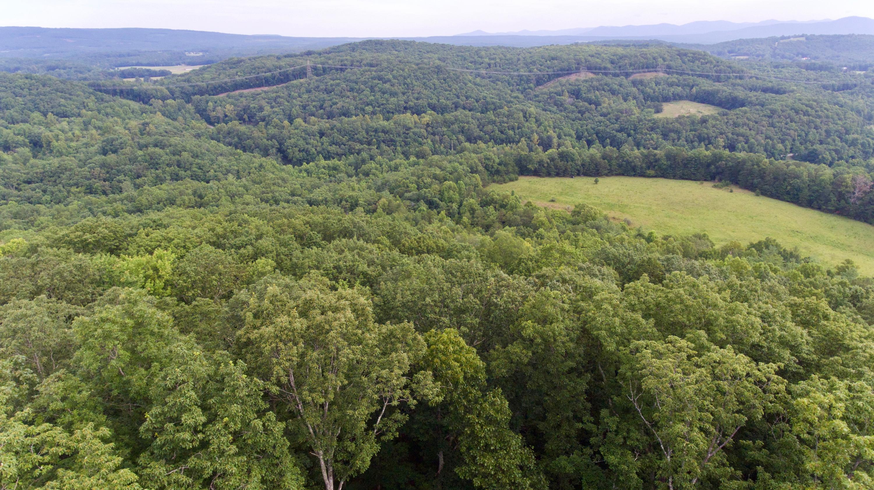 Huse Watson Road Oakdale, TN 37829 - Photo 6 of 40 6