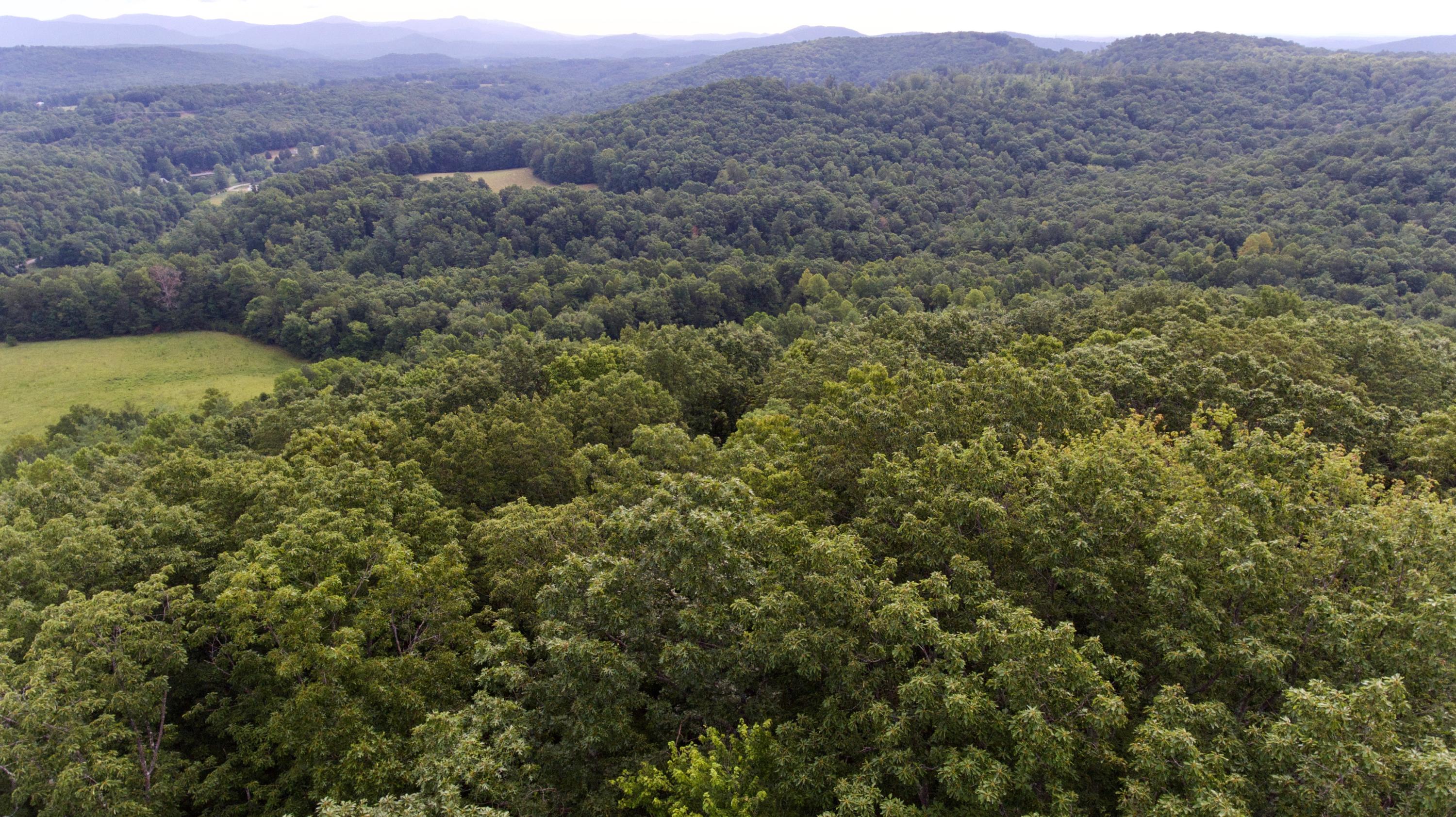 Huse Watson Road Oakdale, TN 37829 - Photo 7 of 40 7