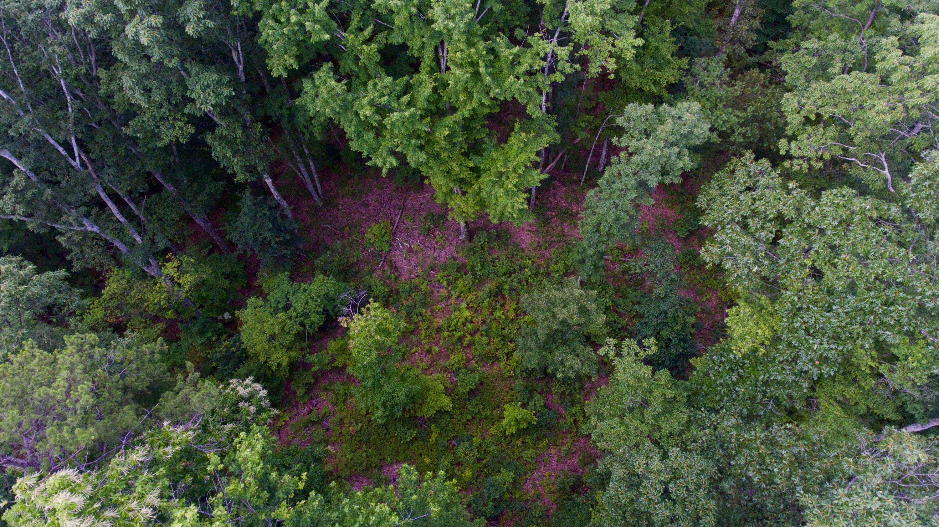Huse Watson Road Oakdale, TN 37829 - Photo 8 of 40 8