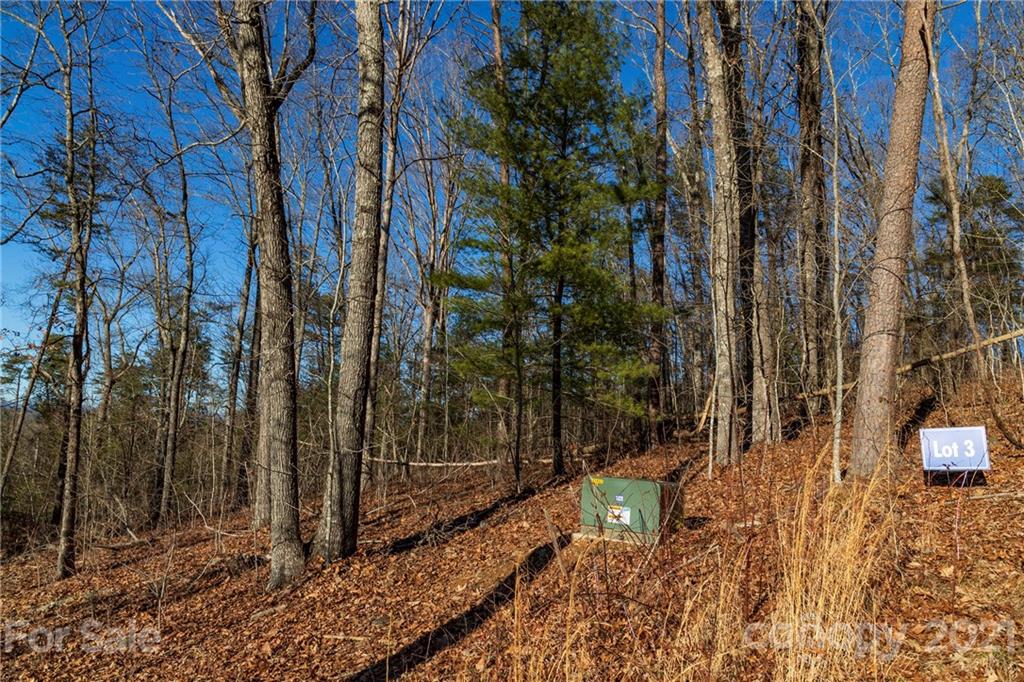110 Saddle Ridge Drive, Unit 3 Alexander, NC 28701 - Photo 1 of 14 Gallery Image 1