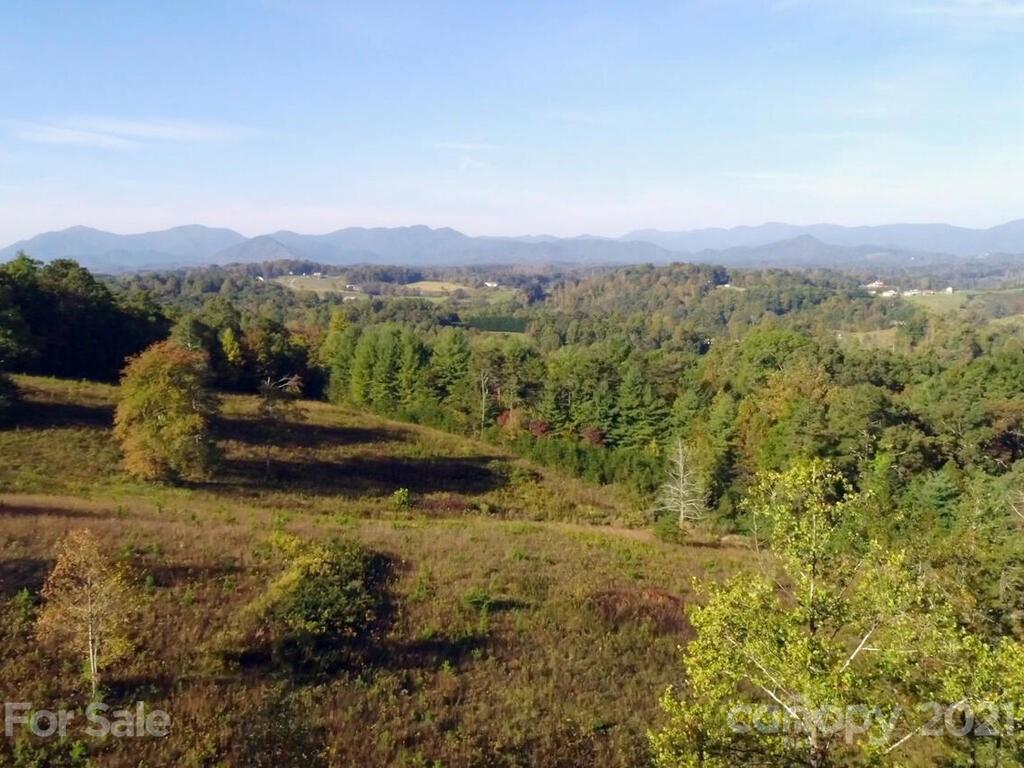 110 Saddle Ridge Drive, Unit 3 Alexander, NC 28701 - Photo 11 of 14 Gallery Image 11