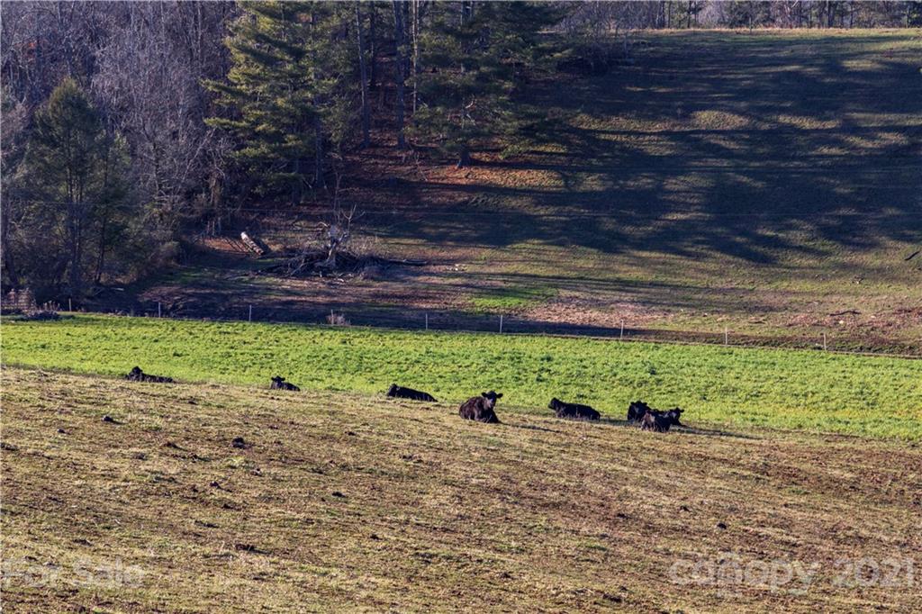 110 Saddle Ridge Drive, Unit 3 Alexander, NC 28701 - Photo 12 of 14 Gallery Image 12
