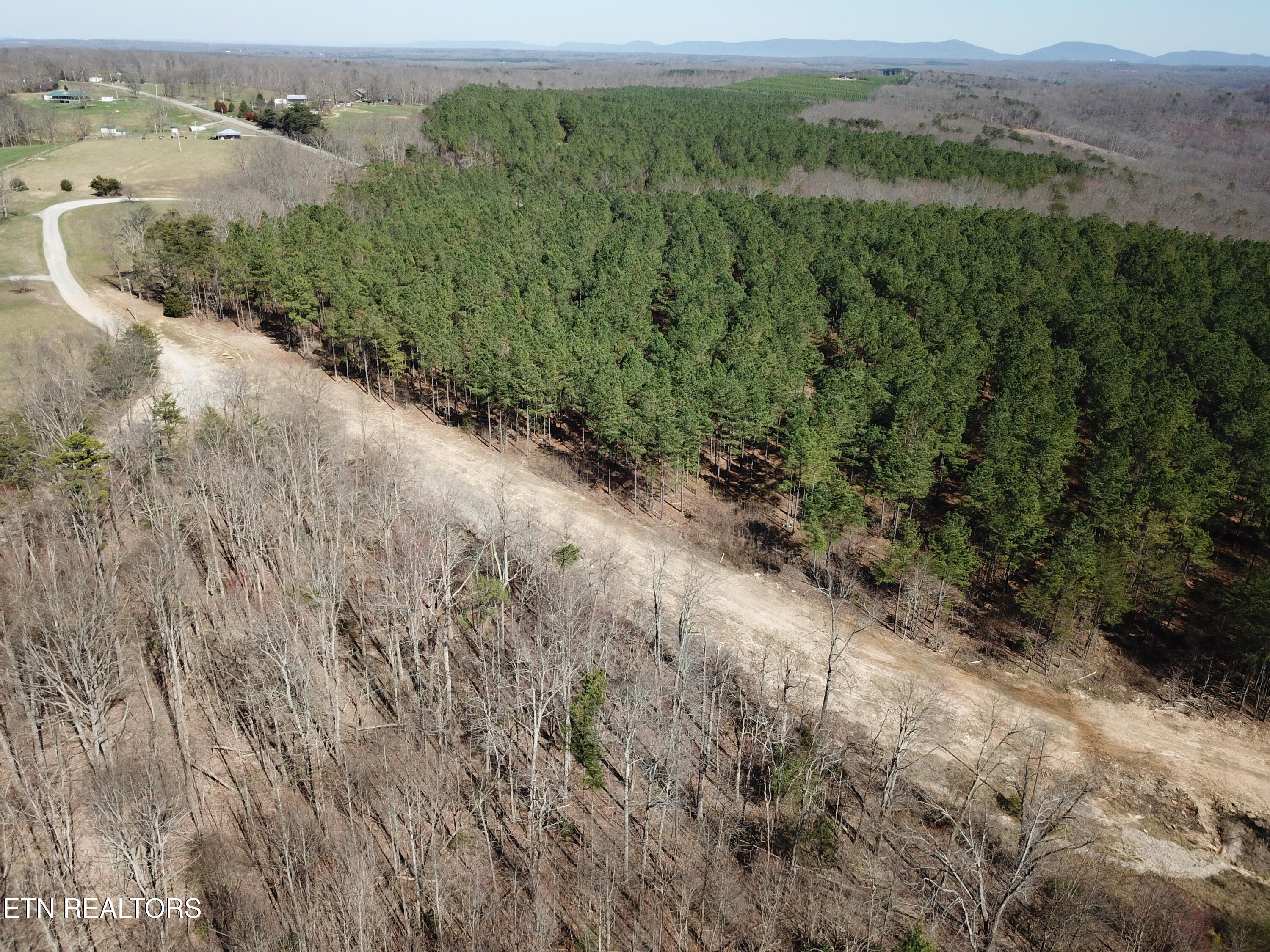 Buckridge Road Crossville, TN 38572 - Photo 8 of 26 DJI_0066