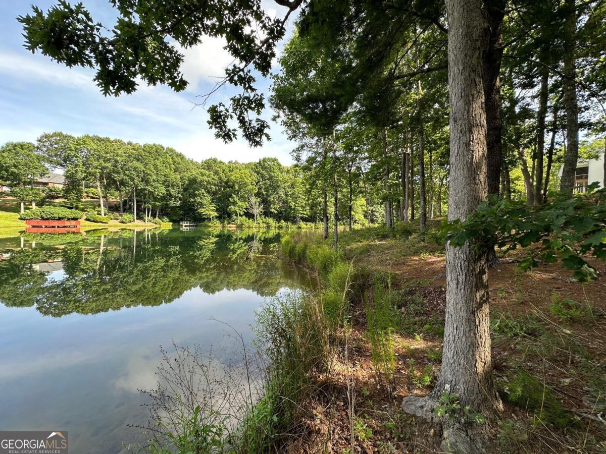 1117 Rome Beauty Lane Clarkesville, GA 30523 - Photo 1 of 27 a view of lake with green space