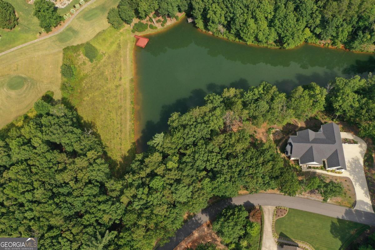 1117 Rome Beauty Lane Clarkesville, GA 30523 - Photo 11 of 27 an aerial view of a house with a yard