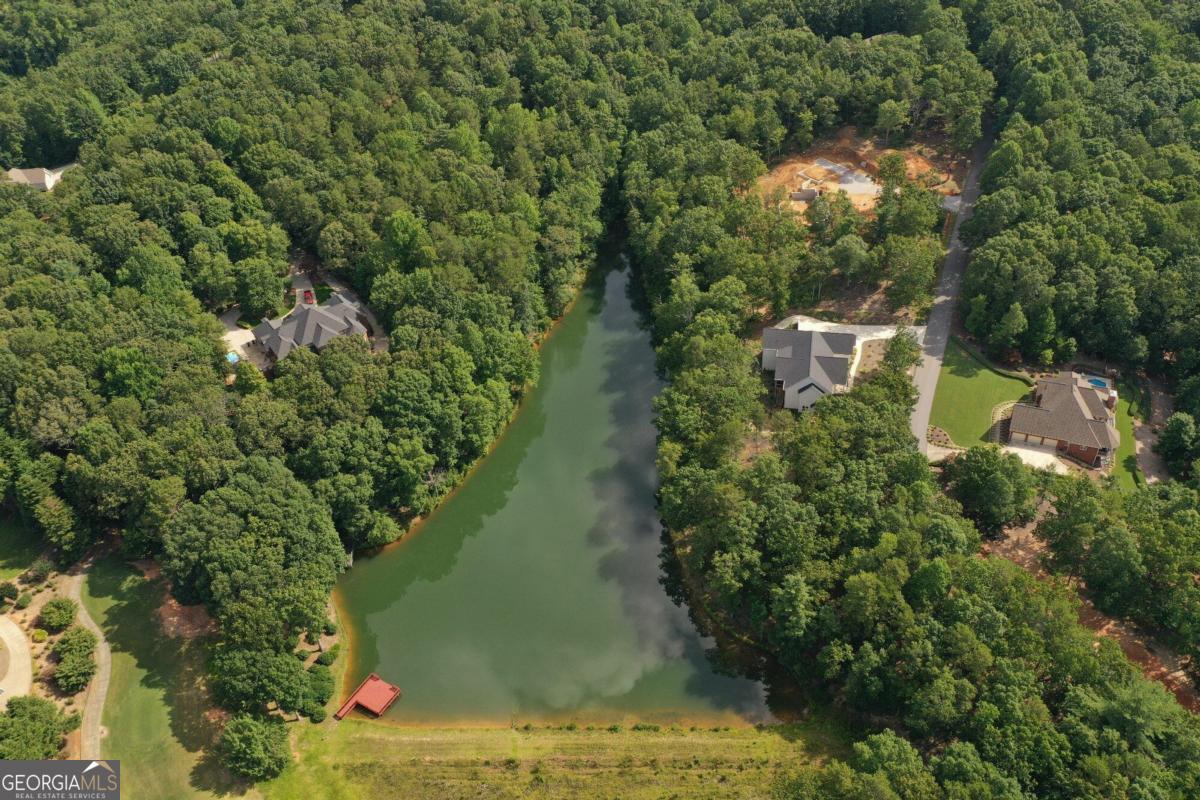 1117 Rome Beauty Lane Clarkesville, GA 30523 - Photo 12 of 27 an aerial view of a houses with yard