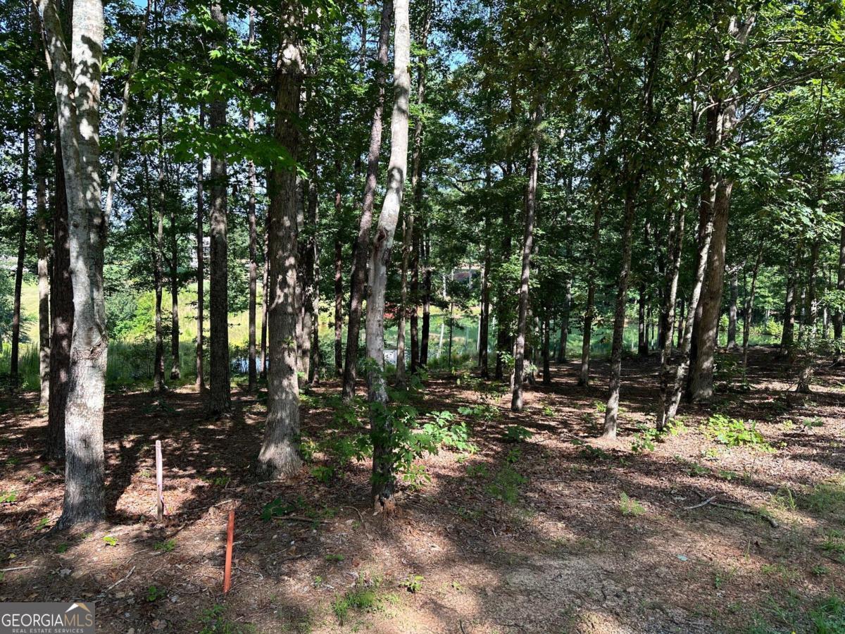 1117 Rome Beauty Lane Clarkesville, GA 30523 - Photo 13 of 27 a view of outdoor space with lots of trees