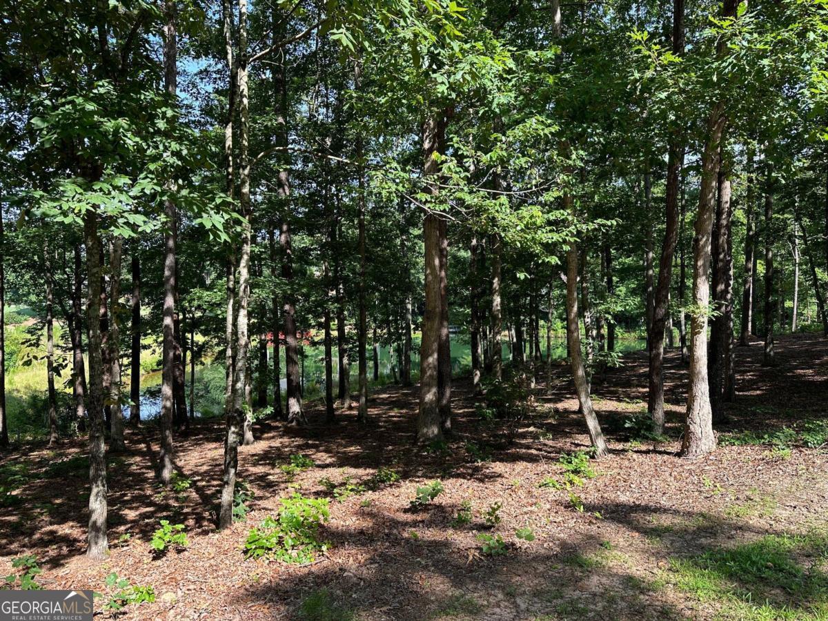 1117 Rome Beauty Lane Clarkesville, GA 30523 - Photo 14 of 27 a view of outdoor space with deck and trees