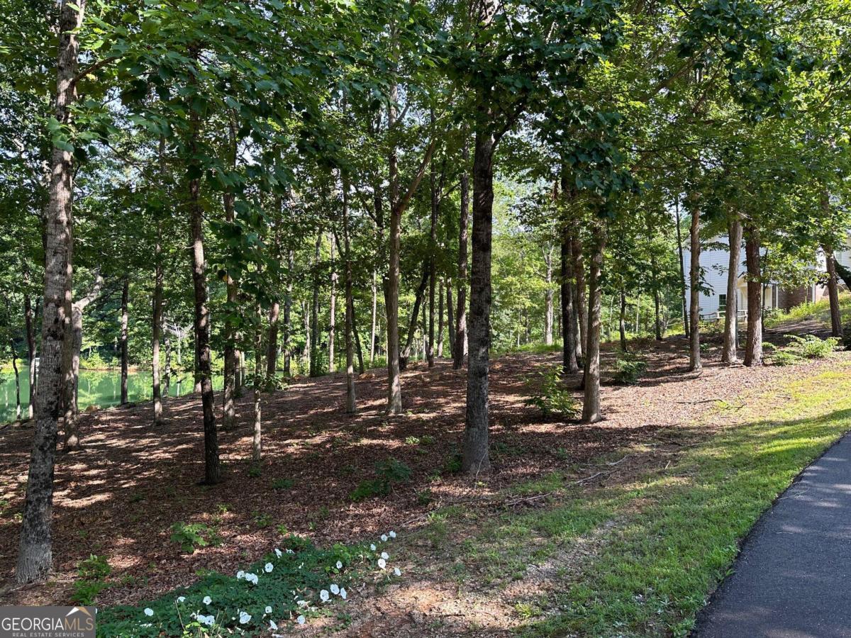 1117 Rome Beauty Lane Clarkesville, GA 30523 - Photo 16 of 27 a view of a forest with trees