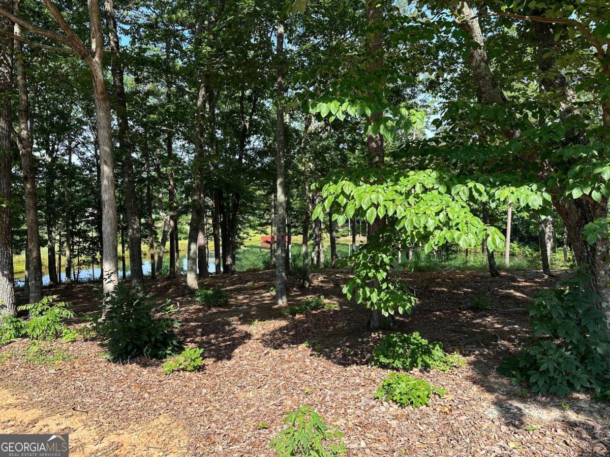 1117 Rome Beauty Lane Clarkesville, GA 30523 - Photo 17 of 27 a pathway of a yard