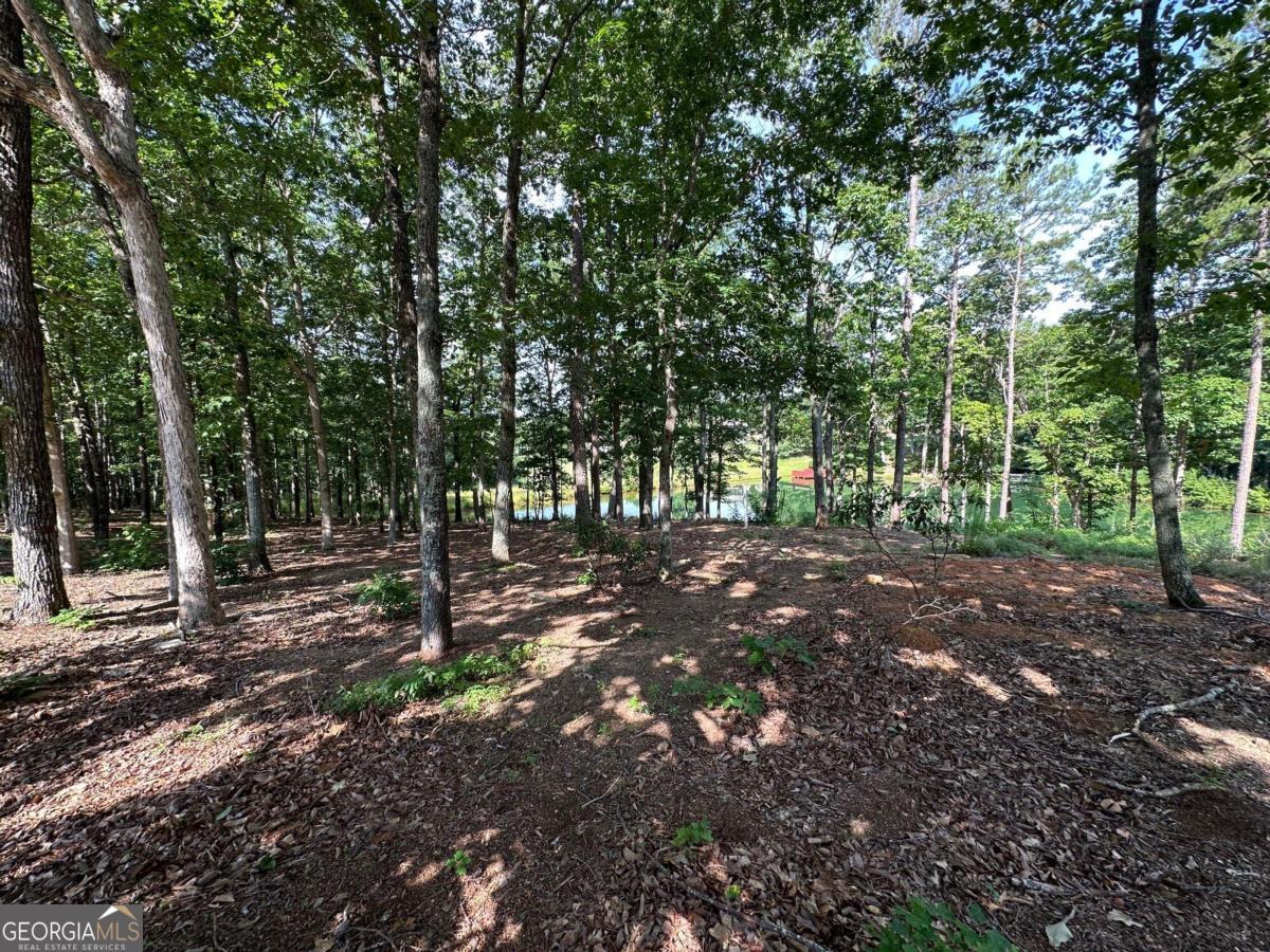 1117 Rome Beauty Lane Clarkesville, GA 30523 - Photo 18 of 27 a view of outdoor space with trees