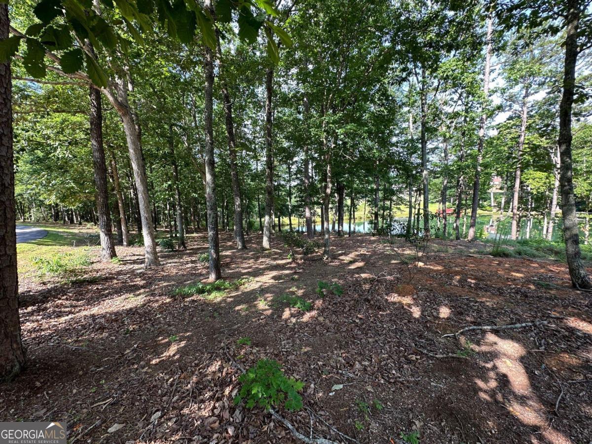 1117 Rome Beauty Lane Clarkesville, GA 30523 - Photo 19 of 27 a view of outdoor space with trees