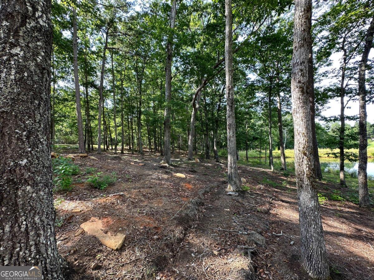 1117 Rome Beauty Lane Clarkesville, GA 30523 - Photo 20 of 27 a view of outdoor space and trees