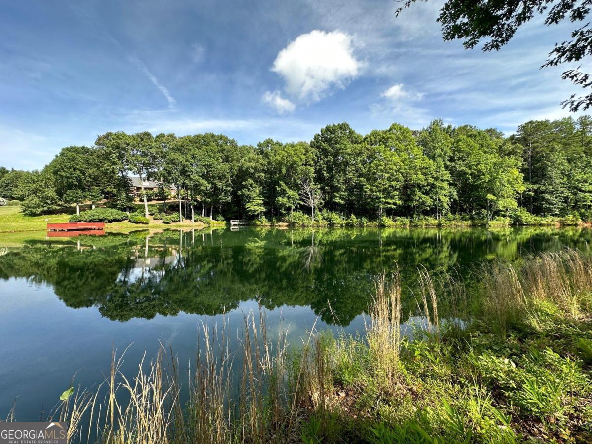 1117 Rome Beauty Lane Clarkesville, GA 30523 - Photo 21 of 27 a view of a lake with a house in the background