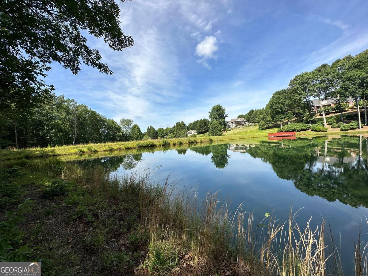 1117 Rome Beauty Lane Clarkesville, GA 30523 - Photo 22 of 27 a view of a lake with a big yard