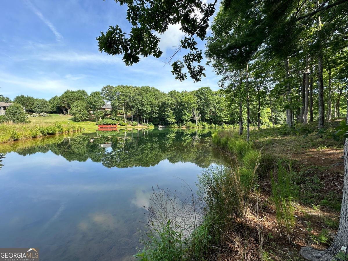 1117 Rome Beauty Lane Clarkesville, GA 30523 - Photo 23 of 27 a view of a lake with a yard