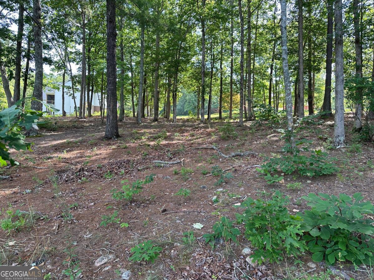 1117 Rome Beauty Lane Clarkesville, GA 30523 - Photo 24 of 27 a view of outdoor space with trees all around