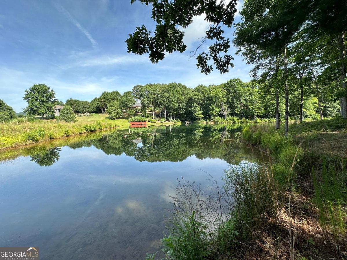 1117 Rome Beauty Lane Clarkesville, GA 30523 - Photo 25 of 27 a view of a lake from a yard