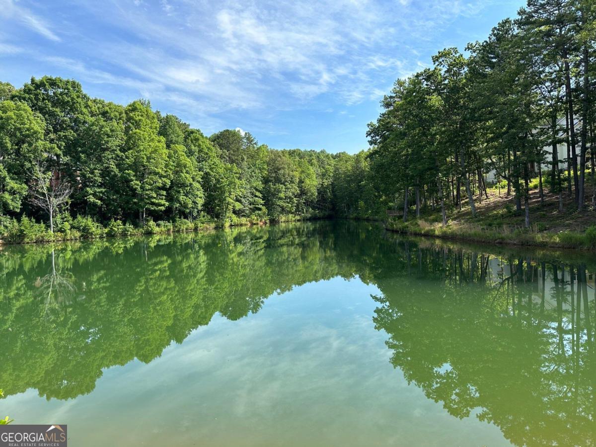 1117 Rome Beauty Lane Clarkesville, GA 30523 - Photo 27 of 27 a view of a lake with a building in the background