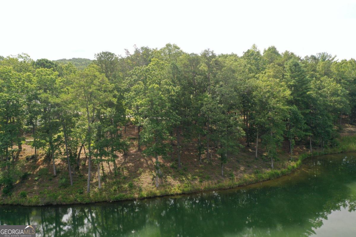 1117 Rome Beauty Lane Clarkesville, GA 30523 - Photo 3 of 27 a view of a lake with a yard