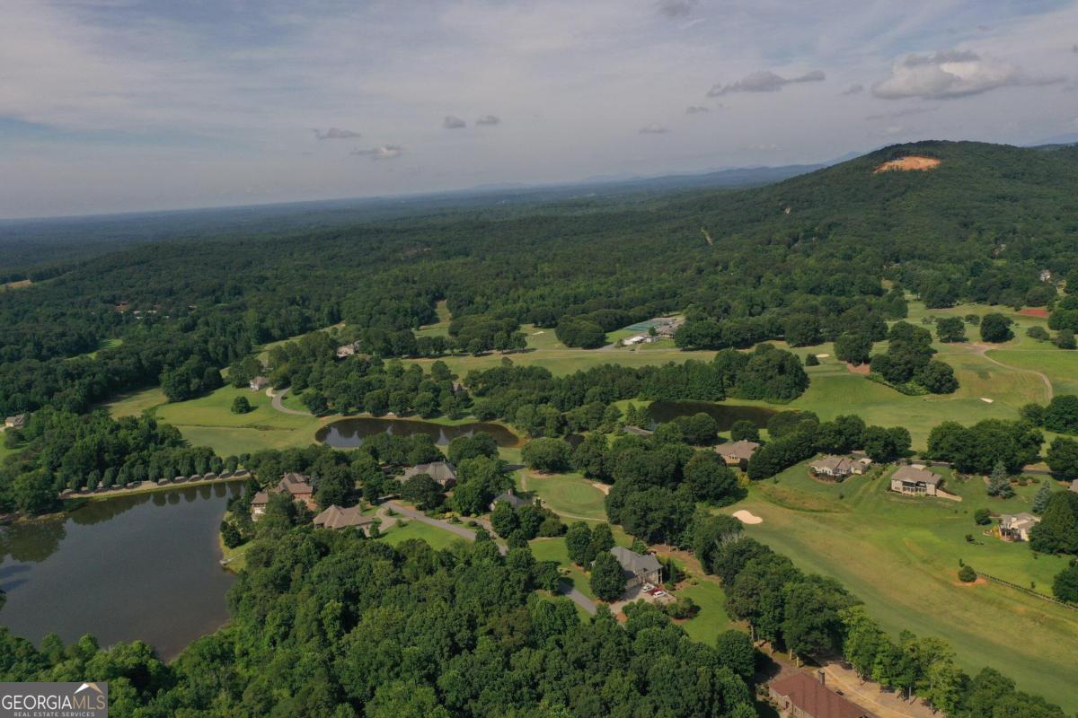1117 Rome Beauty Lane Clarkesville, GA 30523 - Photo 4 of 27 an aerial view of residential houses with outdoor space and trees
