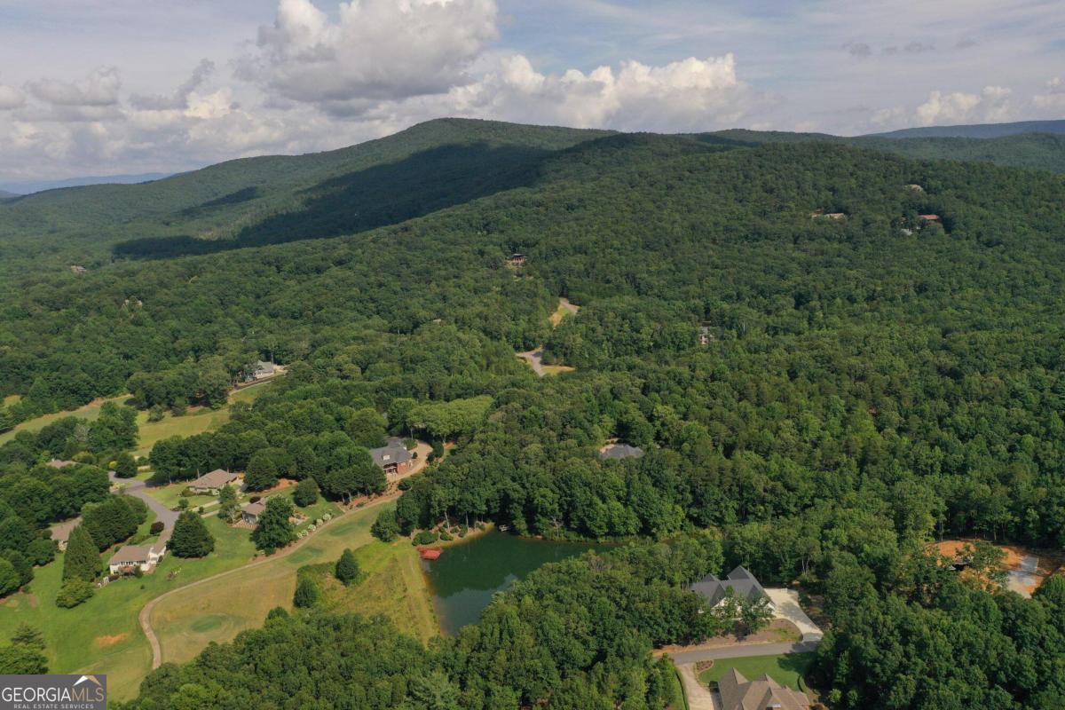 1117 Rome Beauty Lane Clarkesville, GA 30523 - Photo 5 of 27 a view of a lush green forest with lots of residential buildings and mountain view