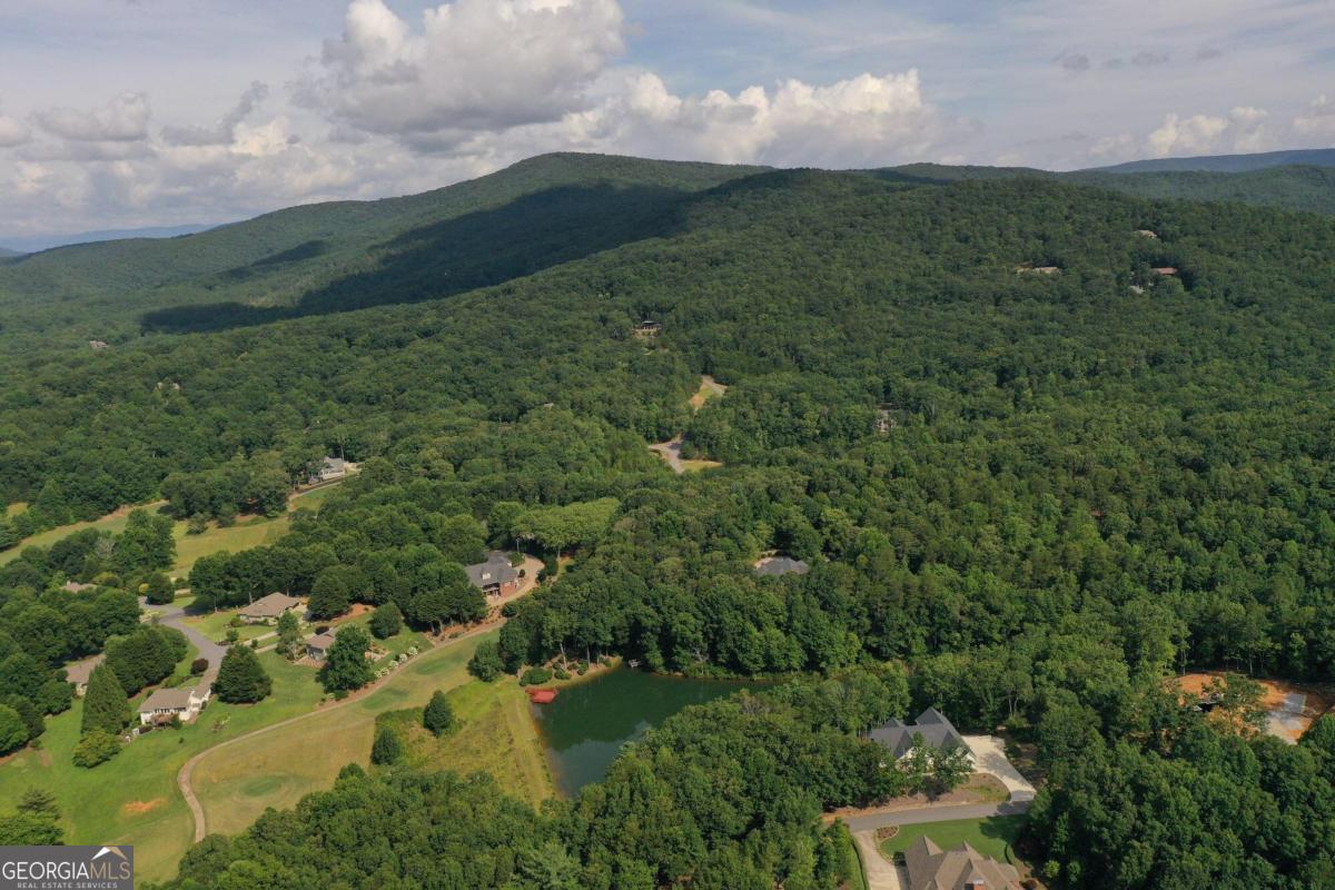 1117 Rome Beauty Lane Clarkesville, GA 30523 - Photo 6 of 27 a view of a lake with green field