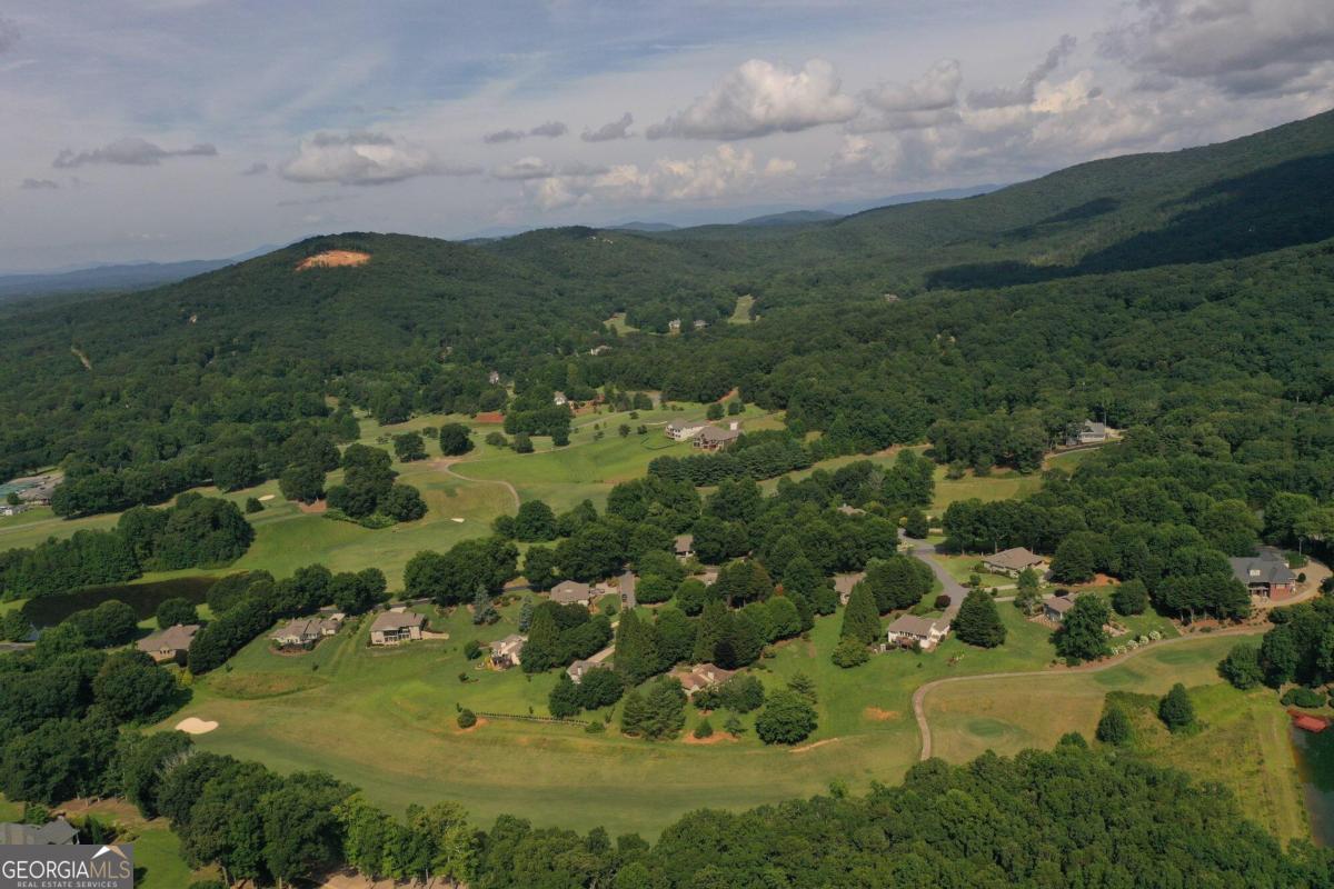 1117 Rome Beauty Lane Clarkesville, GA 30523 - Photo 7 of 27 an aerial view of residential houses with outdoor space and trees