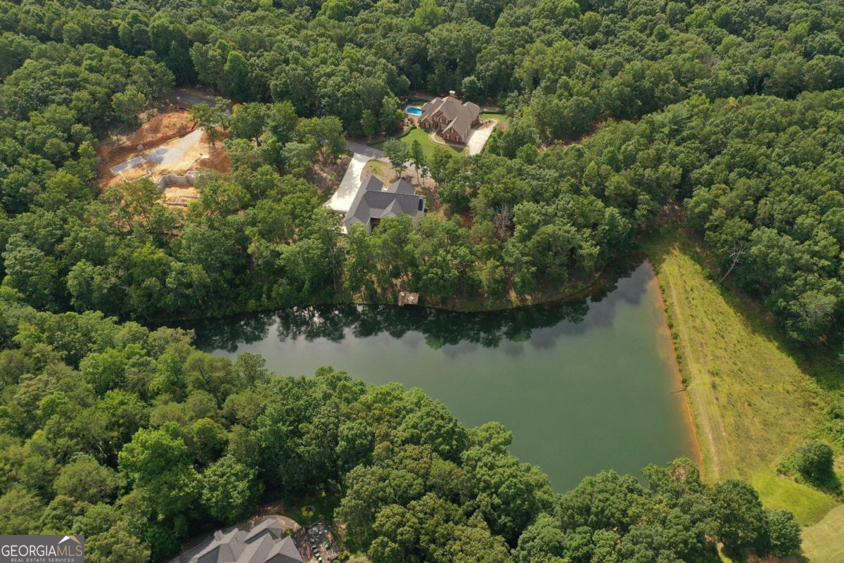 1117 Rome Beauty Lane Clarkesville, GA 30523 - Photo 9 of 27 an aerial view of lake residential house with outdoor space and trees all around