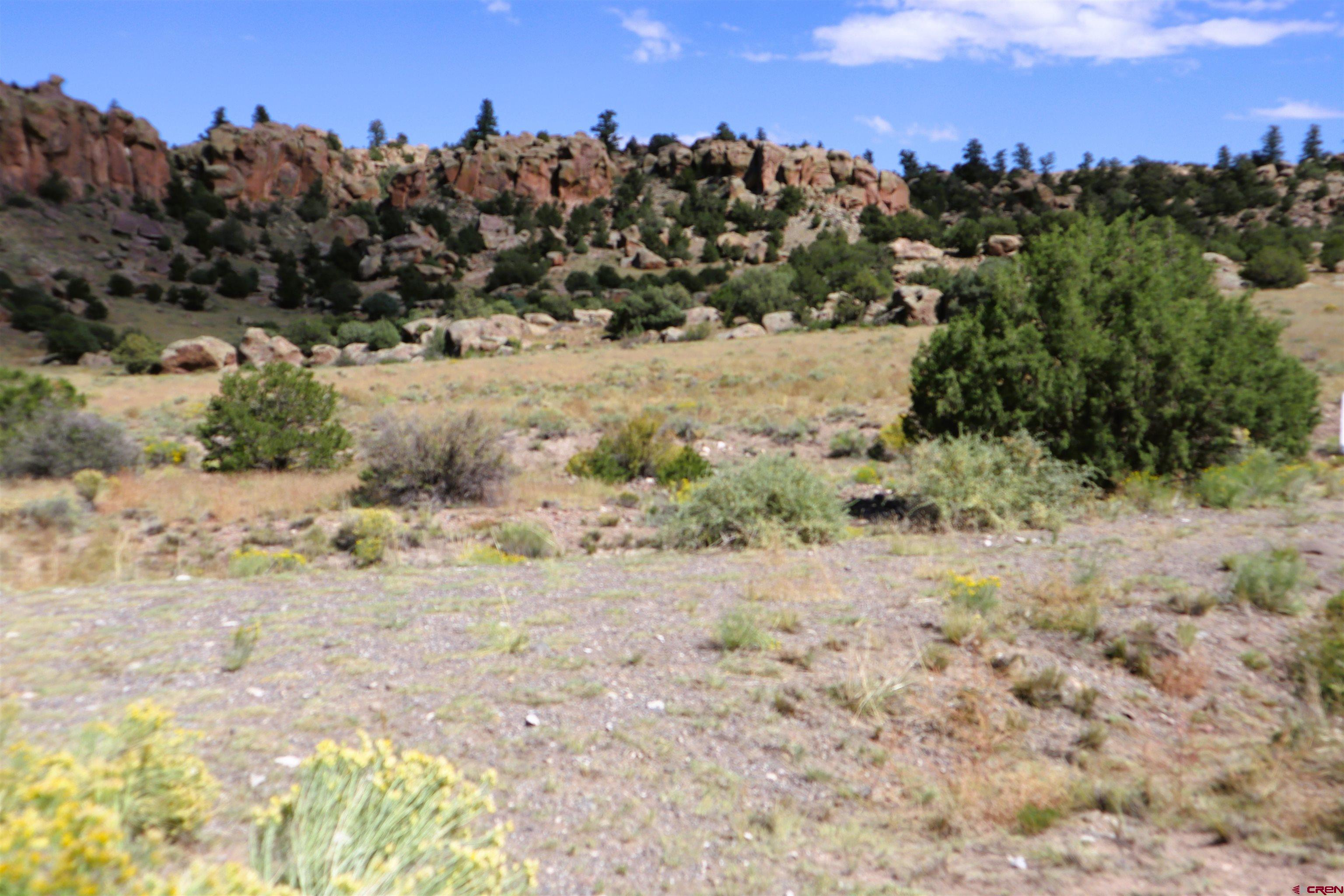 71 Lot 28b Altair Road Del Norte, CO 81132 - Photo 3 of 7 a view of a dry yard with trees