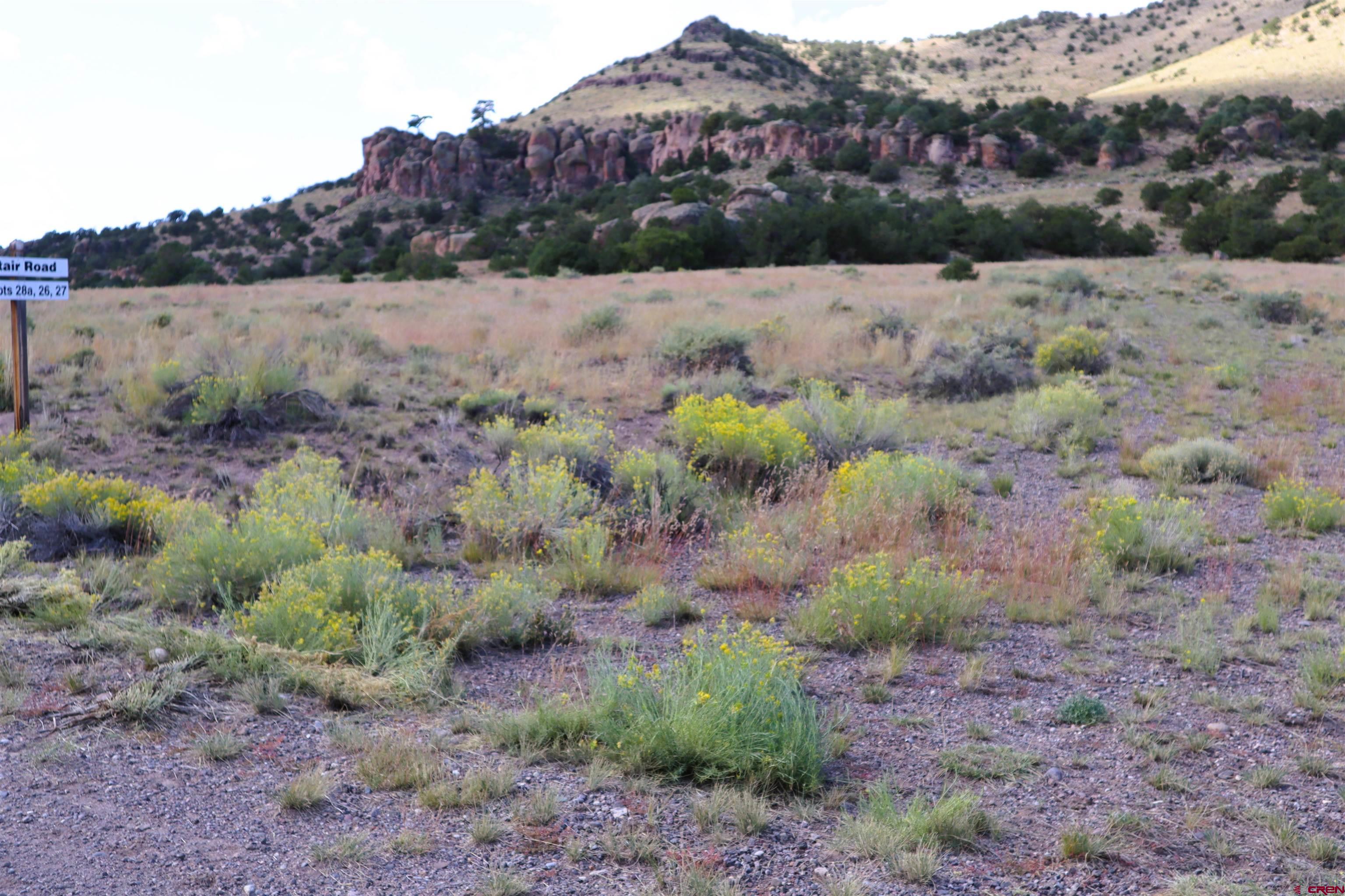 71 Lot 28b Altair Road Del Norte, CO 81132 - Photo 4 of 7