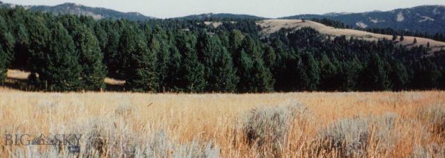 19 Battle Ridge Ranch Bozeman, MT 59715 - Photo 1 of 1 Gallery Image 1