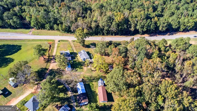 a view of a yard with plants