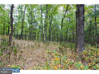 Lot 2 Lily Valley Road Erwinna, PA 18920 - Photo 1 of 10 Gallery Image 1