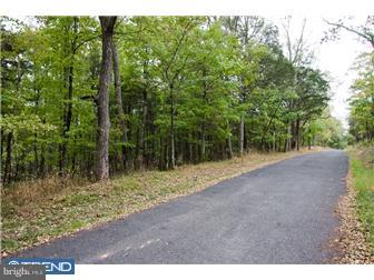 Lot 2 Lily Valley Road Erwinna, PA 18920 - Photo 2 of 10 Gallery Image 2