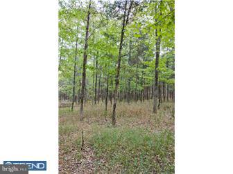 Lot 2 Lily Valley Road Erwinna, PA 18920 - Photo 3 of 10 Gallery Image 3