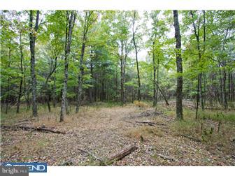 Lot 2 Lily Valley Road Erwinna, PA 18920 - Photo 4 of 10 Gallery Image 4