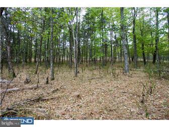 Lot 2 Lily Valley Road Erwinna, PA 18920 - Photo 5 of 10 Gallery Image 5