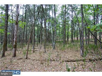 Lot 2 Lily Valley Road Erwinna, PA 18920 - Photo 6 of 10 Gallery Image 6