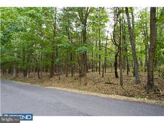 Lot 2 Lily Valley Road Erwinna, PA 18920 - Photo 7 of 10 Gallery Image 7