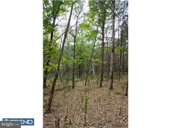 Lot 2 Lily Valley Road Erwinna, PA 18920 - Photo 8 of 10 Gallery Image 8