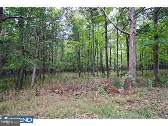 Lot 2 Lily Valley Road Erwinna, PA 18920 - Photo 9 of 10 Gallery Image 9
