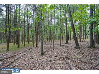 Lot 2 Lily Valley Road Erwinna, PA 18920 - Photo 10 of 10 Gallery Image 10