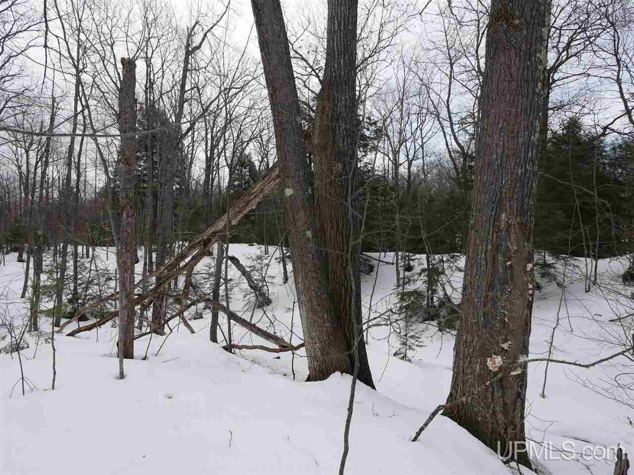 Tbd Gas Plant Road Calumet, MI 49913 - Photo 14 of 30